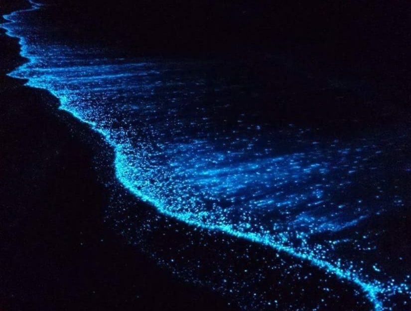 Maldives- Glowing Beach